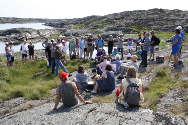 Bråtö 3