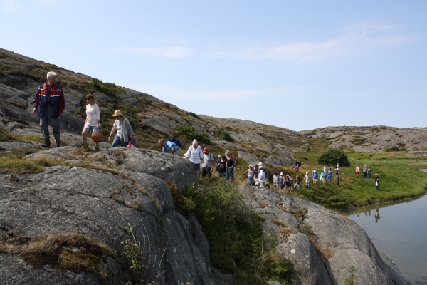 Bråtö 5